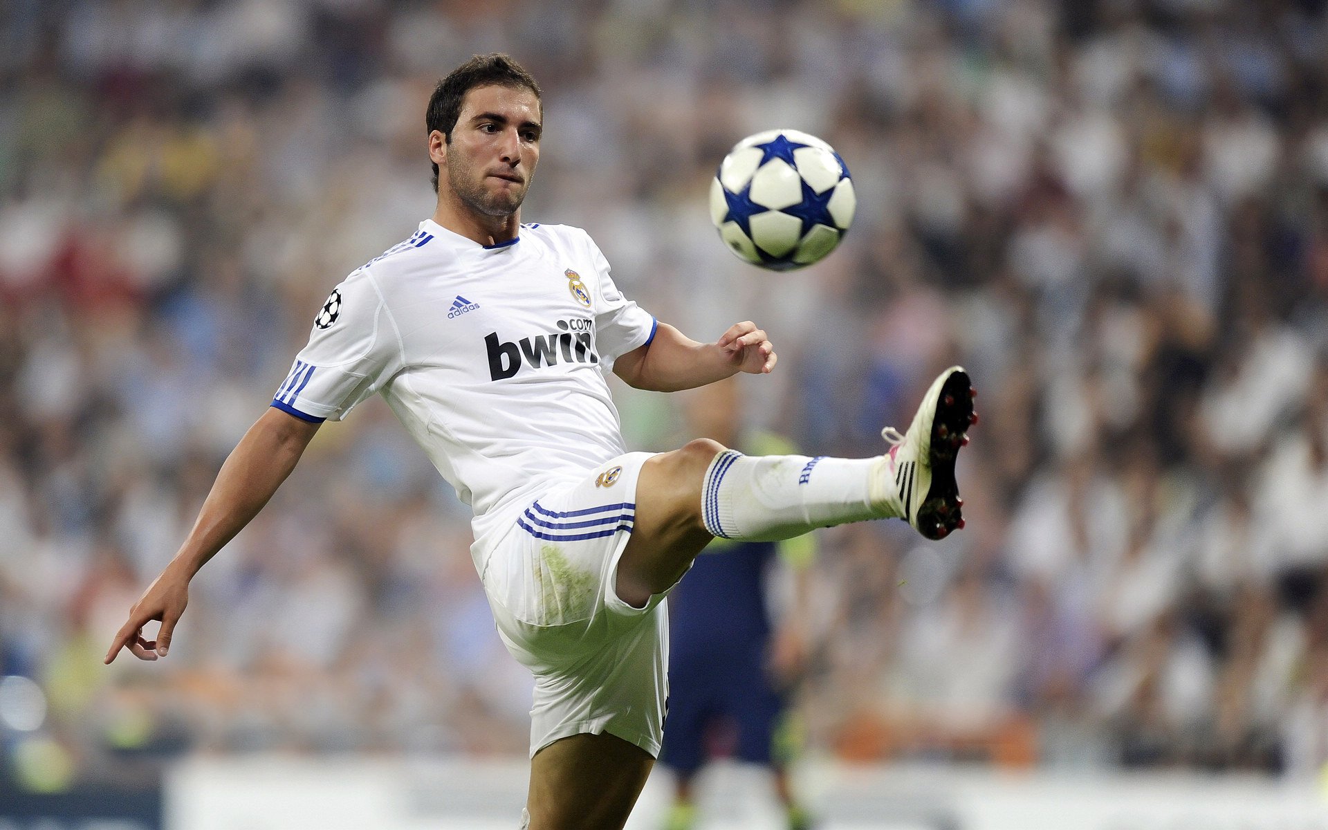 九游下载安装-艾比·德尔福：南非队的后场领导者，精准解围守护球队利益，艾德和比尔的故事