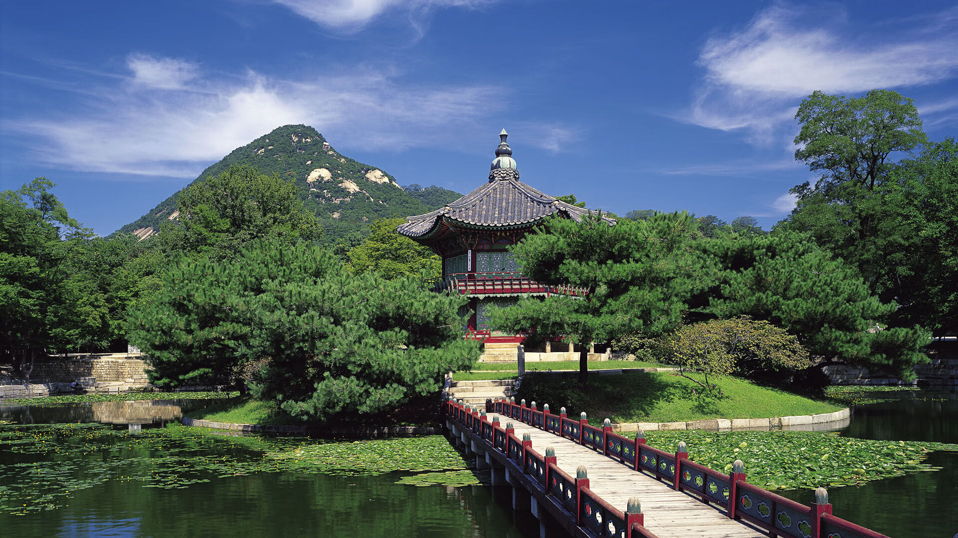 Jiuyou-【青训阶梯】新一代明星通过战术训练逐步崛起，军人训练明星